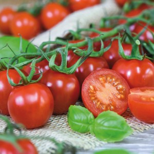 Frische, rote Bio Cherry Tomaten auf der Rispe, eine halbe Tomate zeigt das Innere.