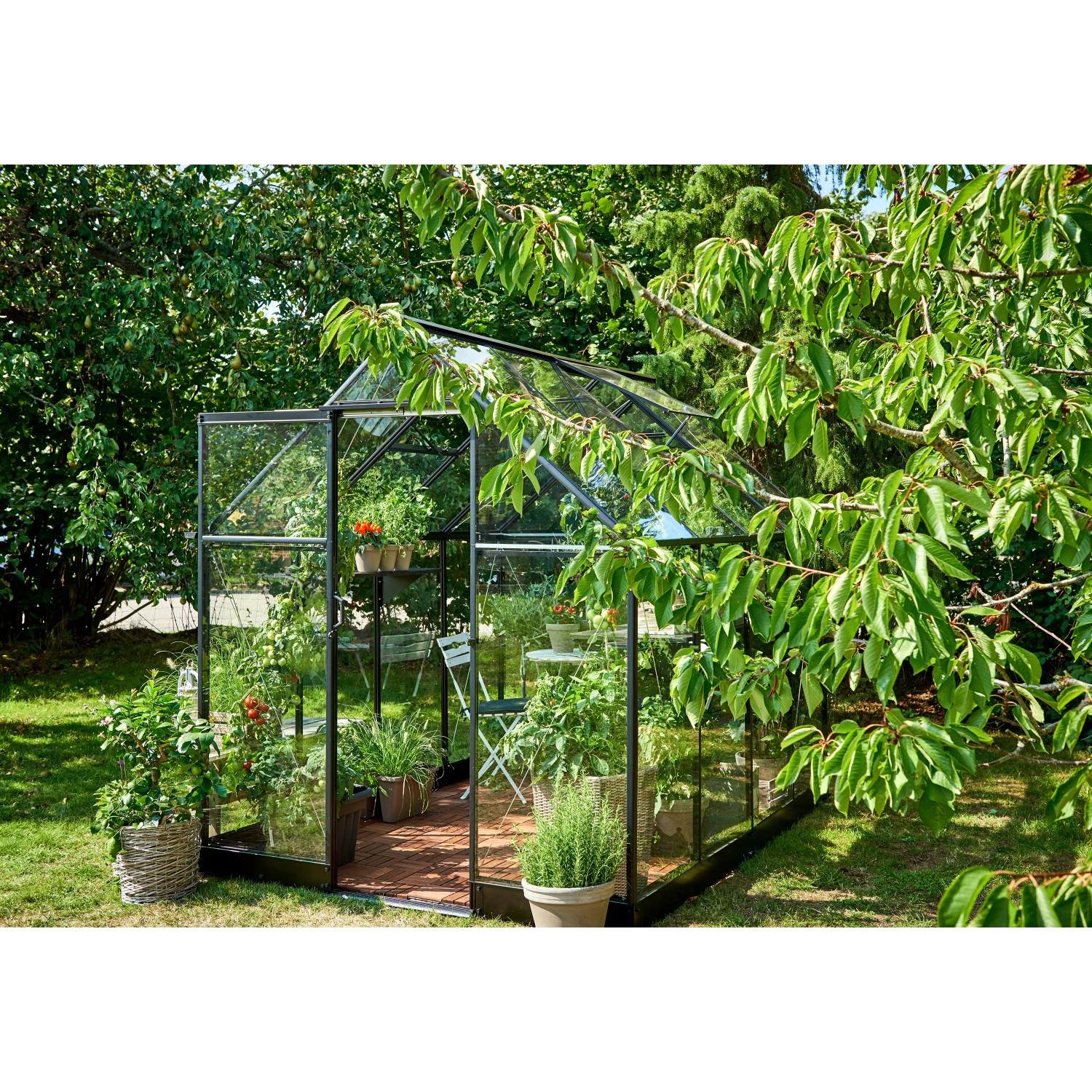 Schwarzes Halls Gewächshaus Qube 68 mit Pflanzen und geöffneter Tür im Garten.