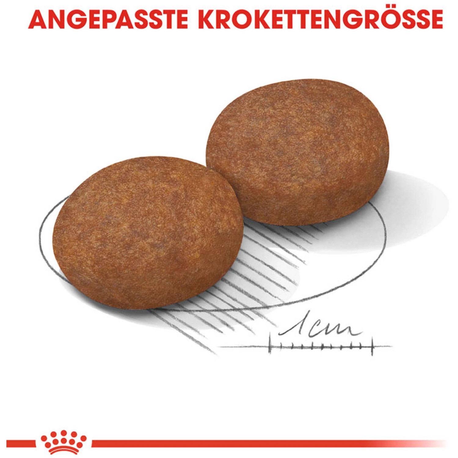 Zwei Kroketten Royal Canin Medium Adult 7+ Trockenfutter für mittelgroße Hunde.