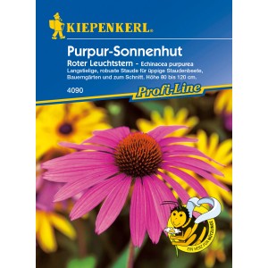 Kiepenkerl Purpur-Sonnenhut Roter Leuchtstern, Blumensamen für farbenfrohe Gärten.