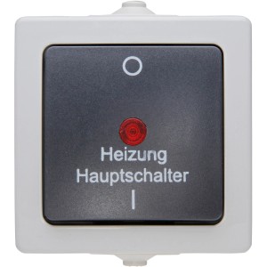 Kopp Heizungs-Hauptschalter Nautic, Aufputz Feuchtraum, grau mit roter Glimmlampe.