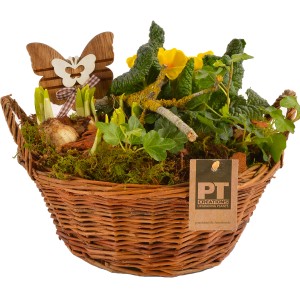 Frühlingsblüher Arrangement im Weidenkorb (Topf-Ø 25cm) mit Deko-Schmetterling für Balkon & Terrasse.