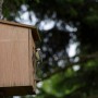Kiefer Nistkasten mit Kohlmeise am Einflugloch (Ø32mm) an Baum montiert.