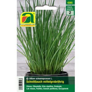 Austrosaat Schnittlauch Mittelgrobröhrig, winterhart, dunkelgrüne Halme.