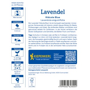 Kiepenkerl Duft-Lavendel Hidcote Blue Strain Blau Samenpackung