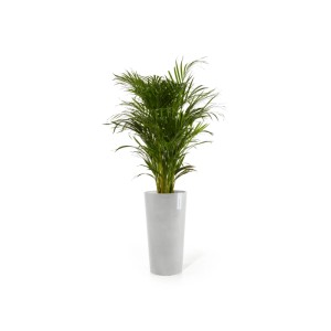 Ecopots Pflanztopf Amsterdam Hoch, weißgrau, 41x76 cm, mit grüner Pflanze, für Innen- und Außenbereich.