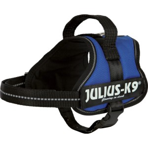Blaues Julius K-9 Powergeschirr Mini-Mini, Größe S (40-53 cm), 22 mm breit.