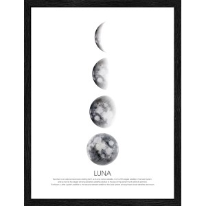 Pro Art Bild Framed Art Moon Phases 40 cm x 30 cm