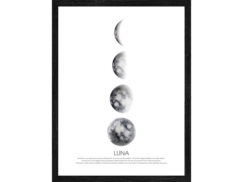 Pro Art Bild Framed Art Moon Phases 40 cm x 30 cm kaufen bei OBI