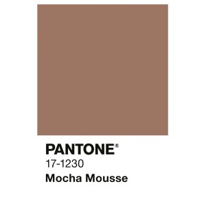 Alpina Innenfarbe Pantone Mocha Mousse. Braune Wandfarbe als Farbfläche mit Code 17-1230.