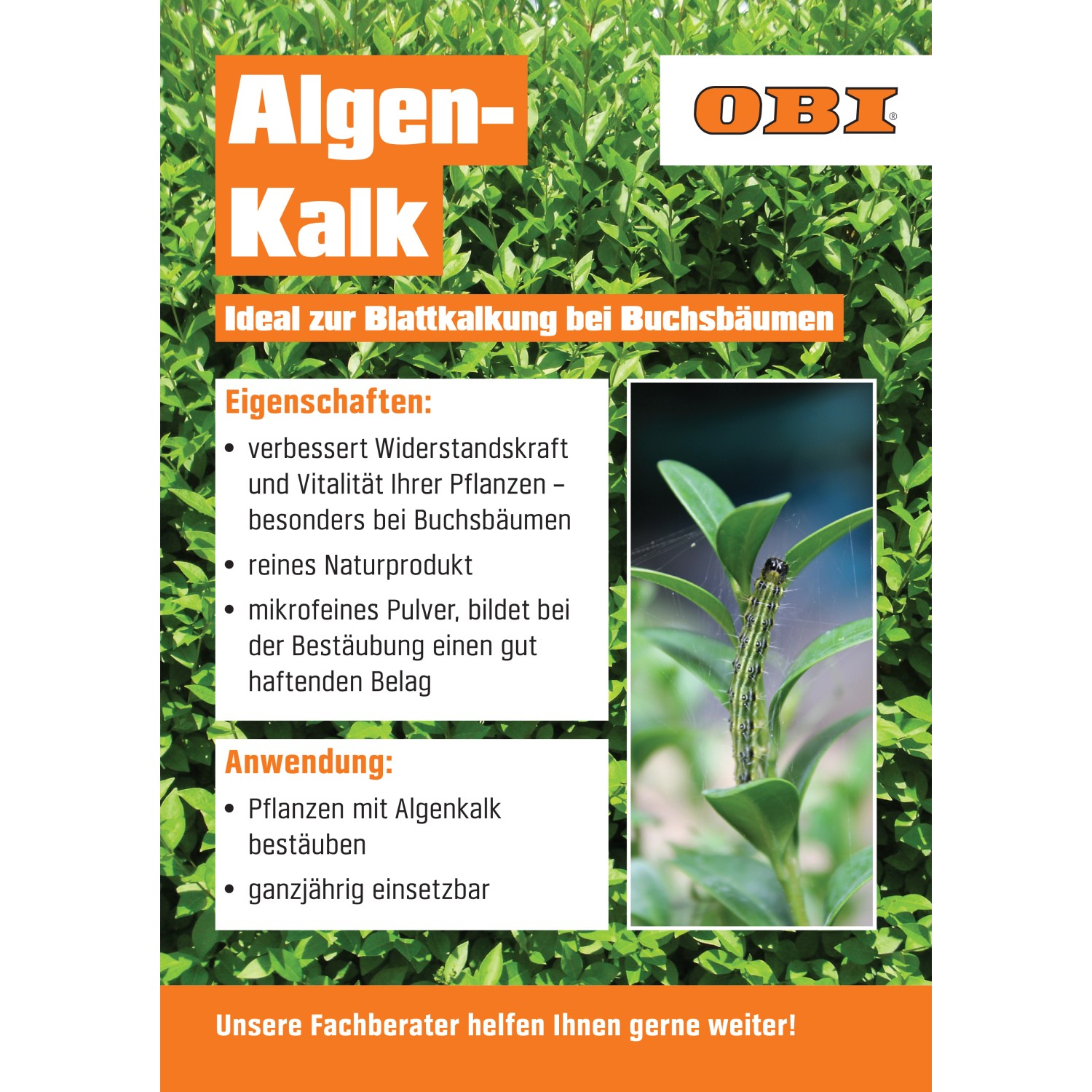 Algenkalk Puder 25kg zur Bodenverbesserung und Behandlung von Buchsbäumen im OBI Online-Shop.