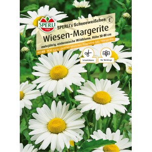Samenpackung Sperli Wiesen-Margerite Schneeweißchen mit weißen Blüten und gelber Mitte.