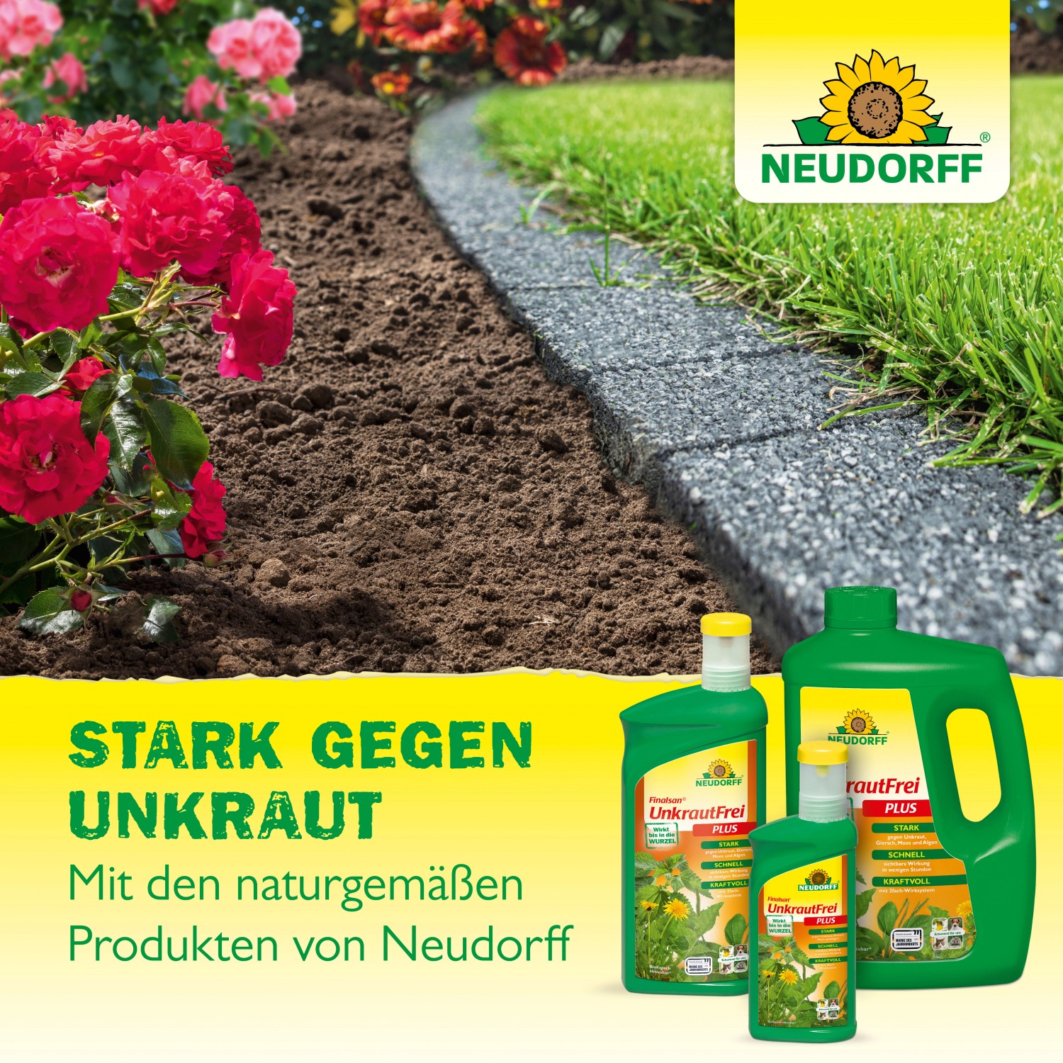 Neudorff Finalsan AF Wege- und Fugenreiniger 1 l: Grünbelagentferner für Wege, Terrassen und Mauerwerk.