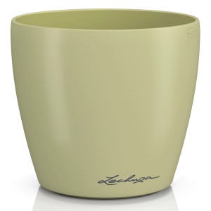 Lechuza Classico Color Pflanzgefäß, Ø 13 cm, Linde. Übertopf für Zimmerpflanzen.