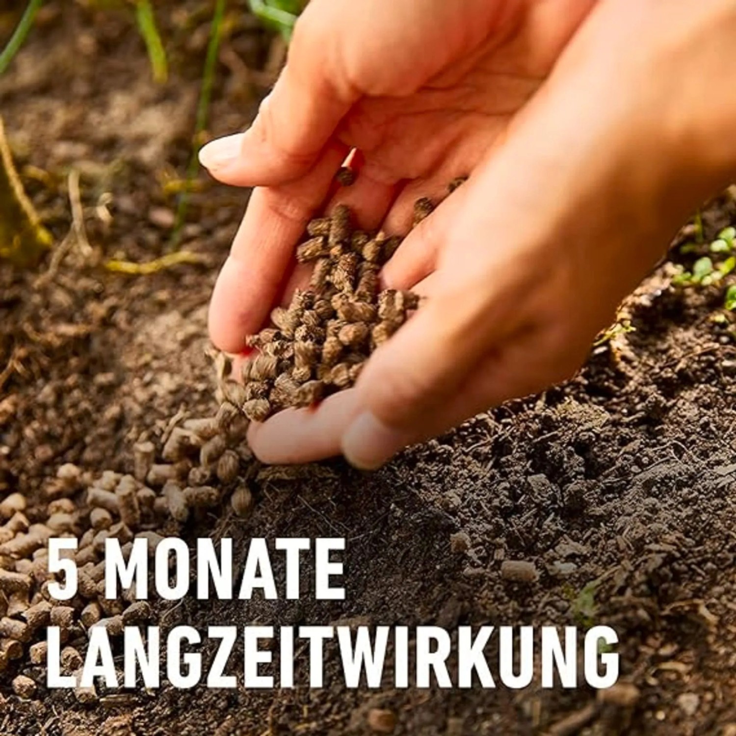 Compo Bio Tomaten Langzeit-Dnger mit Schafwolle 750 g kaufen bei OBI