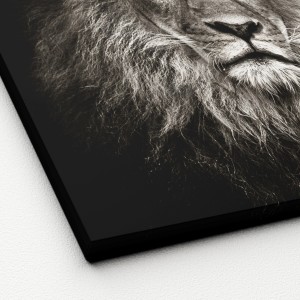 Leinwandbild Löwe, 40x40cm, Schwarz-Weiß. Wandbild mit Tiermotiv für Wohnräume.