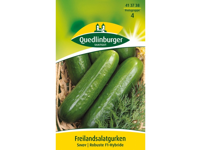 Quedlinburger Freiland Salatgurken ''Sindy'' kaufen bei OBI