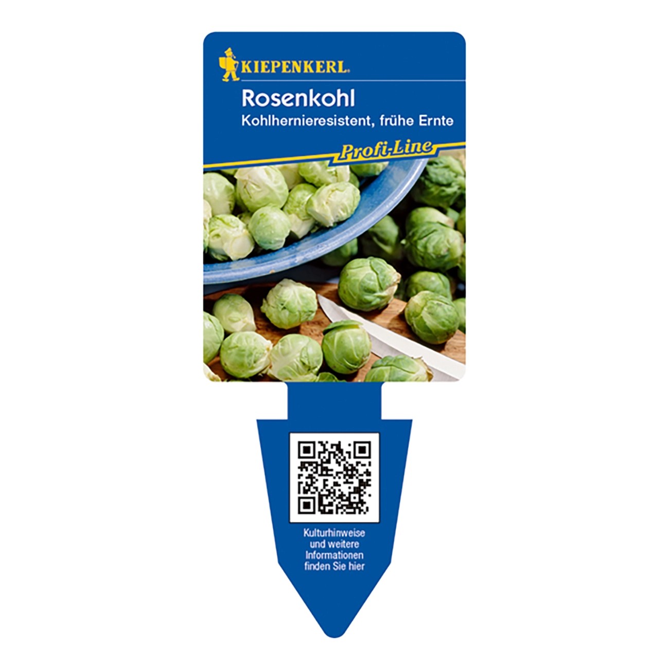 Kiepenkerl Rosenkohl 6er Schale kaufen bei OBI