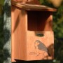 Dobar Nistkasten aus Kiefernholz mit Rotkehlchen-Motiv, befestigt an einem Baum.