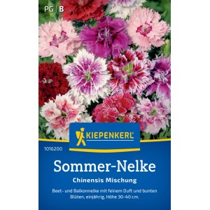 Kiepenkerl Sommer-Nelke Chinensis Mischung mit farbenfrohen Blüten auf der Saatgutpackung.