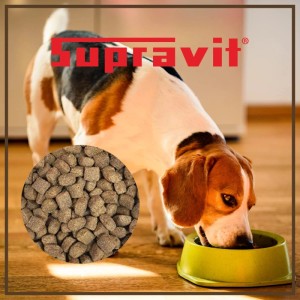 Beagle frisst Supravit Trockenfutter Lamm & Reis aus grünem Napf. Nahaufnahme des braunen Hundefutters.