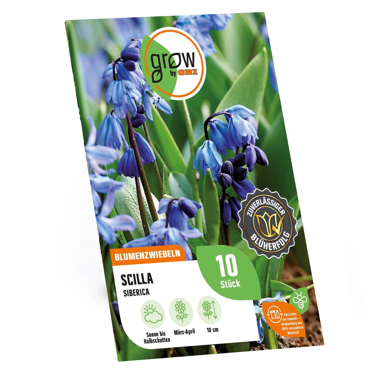 Verpackung GROW by OBI Sibirischer Blaustern (Scilla siberica) Blumenzwiebeln mit blauen Blüten.