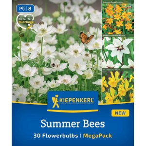 Kiepenkerl Summer Bees