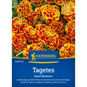 Kiepenkerl Tagetes Giant Bicolour Saatgut mit rot-gelben Blüten.