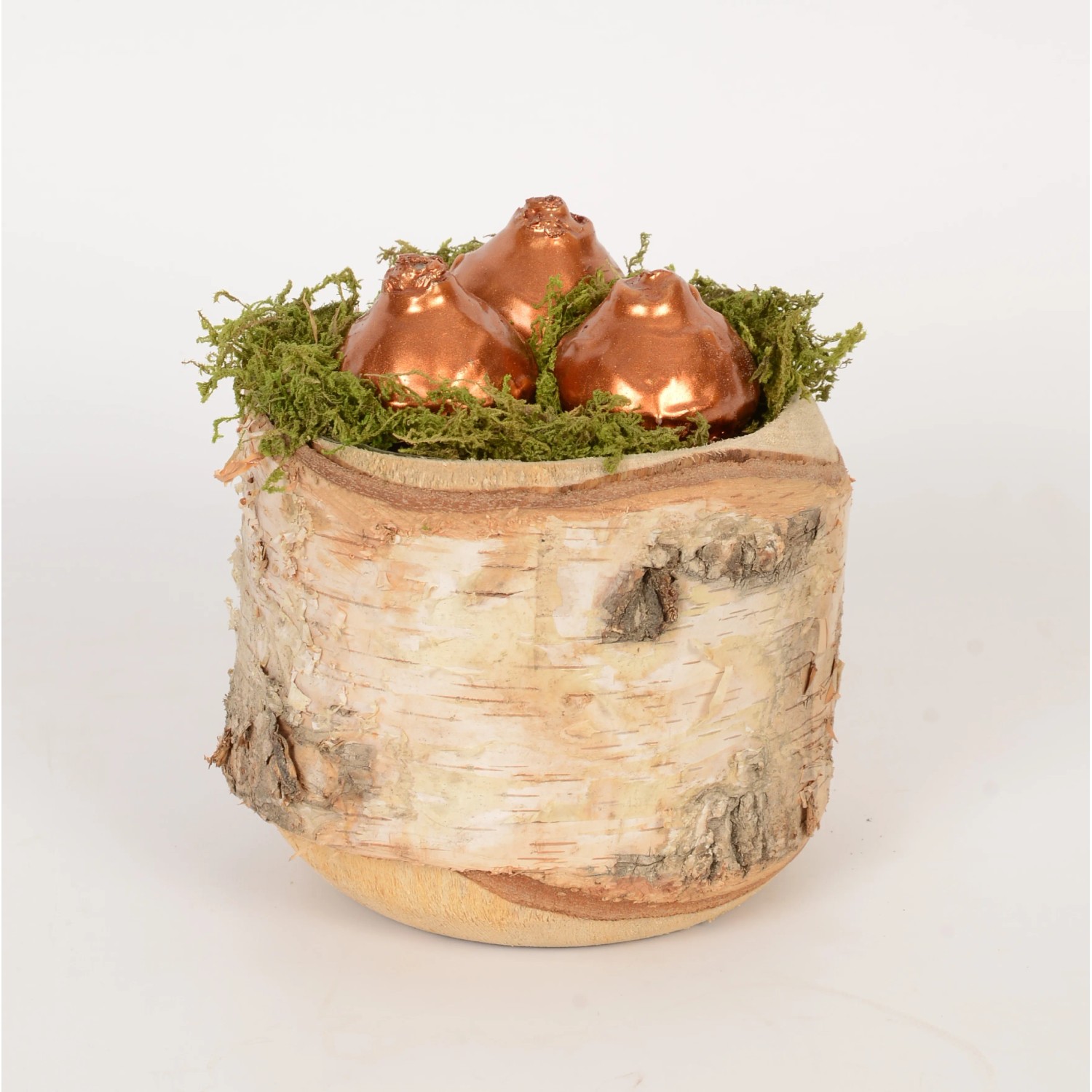 Winterliches Arrangement mit Wachs-Hyazinthen Topf- ca. 14 cm kaufen bei  OBI