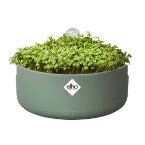 Elho Topf Magic Microgreens, Ø 17cm, laubgrün, mit frischem Mikrogemüse.