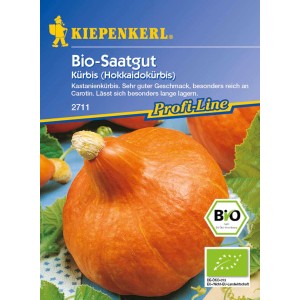 Kiepenkerl Hokkaido Kürbis Uchiki Kuri Samen, oranger Kürbis vor blauem Hintergrund.