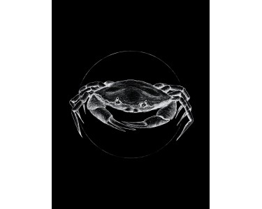 kaufen Wandbild bei Black OBI 40 cm Crab 30 x Komar