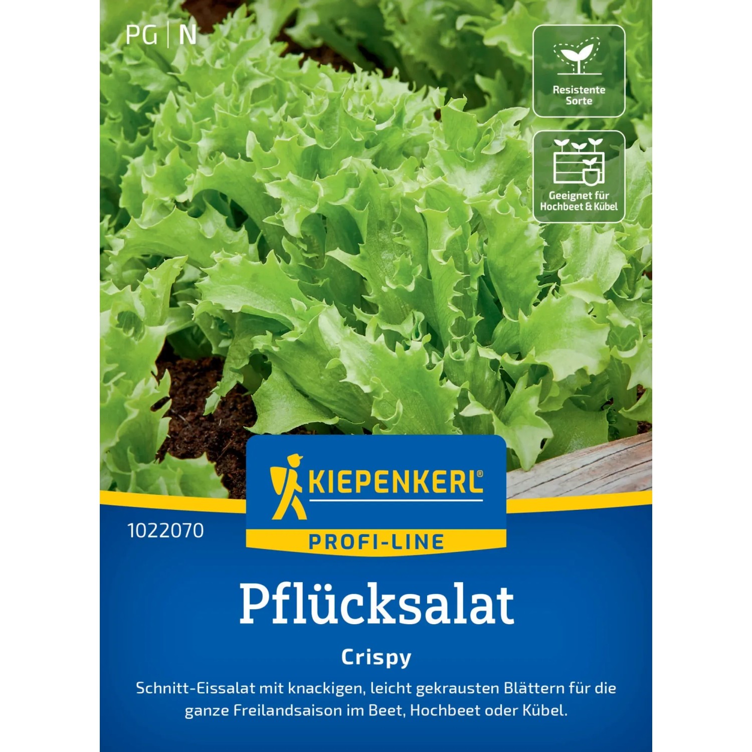 Kiepenkerl Pflücksalatsamen 'Salad Bowl 335' – Grüner Pflücksalat Für Balkon & Hochbeet, Inhalt Für 5 Lfm