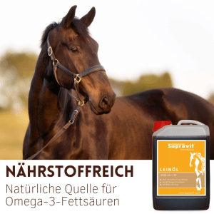 Braunes Pferd mit Supravit Leinöl Liquid Kanister (3000 ml) für Pferde. Nährstoffreich.