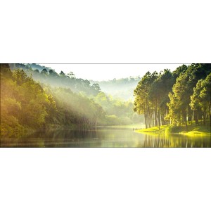 Pro-Art Glasbild Forest Atmosphere III: Waldlandschaft mit See und Bäumen im Morgenlicht.
