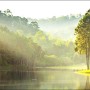 Pro-Art Glasbild Forest Atmosphere III: Waldlandschaft mit See und Bäumen im Morgenlicht.