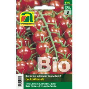 Bio Tomaten-Saatgut Zuckertraube: Rote Cocktailtomaten an der Rispe.