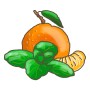 Illustration: Mandarine mit Minze, Küchenkräuter für Cocktails und Desserts.