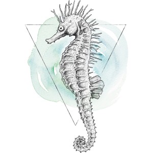 Komar Wandbild: Aquarell-Seepferdchen (50x70 cm). Dekoratives Bild für Wohnräume.