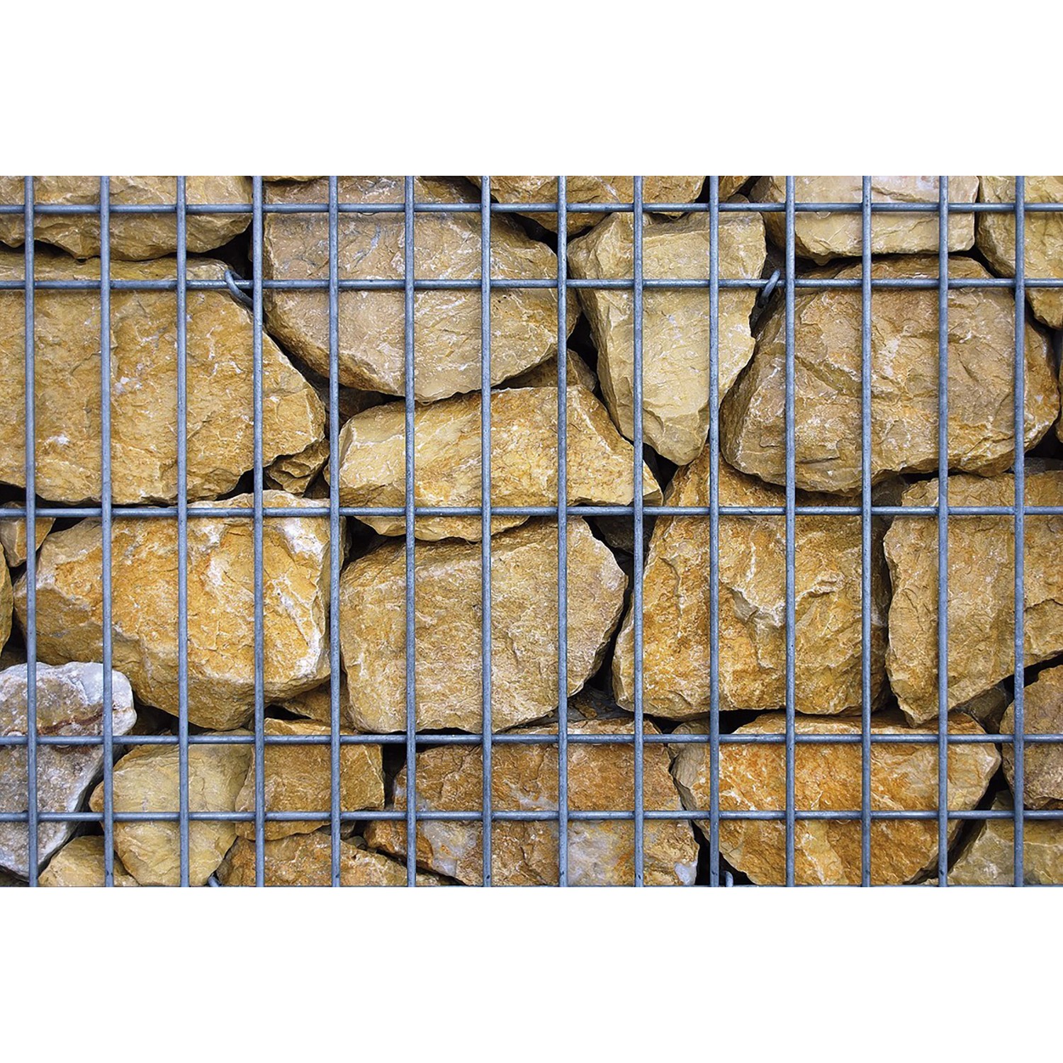 Scherf Fertig-Gabione mit Marmorbruch Gold-Ocker Füllung, Nahaufnahme der Steine hinter dem Drahtgitter.