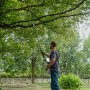 Mann schneidet Baum mit Litheli Akku-Hochentaster. Akku-Kettensäge für hohe Äste.