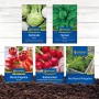 Gemüsesamen-Set für Hochbeet: Kohlrabi, Spinat, Paprika, Radieschen + Ratgeber für die Gemüsevielfalt.