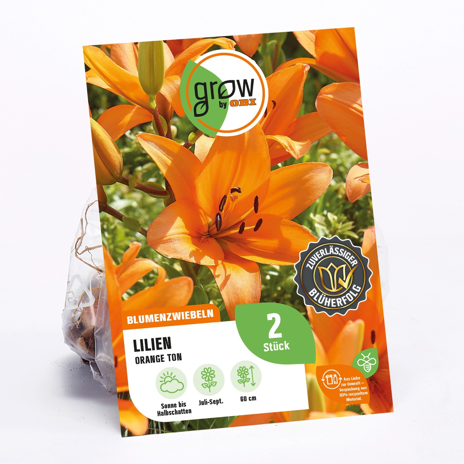 GROW by OBI Lilie "Orange Ton" Höhe ca. 60 cm Lilium asatic kaufen bei OBI