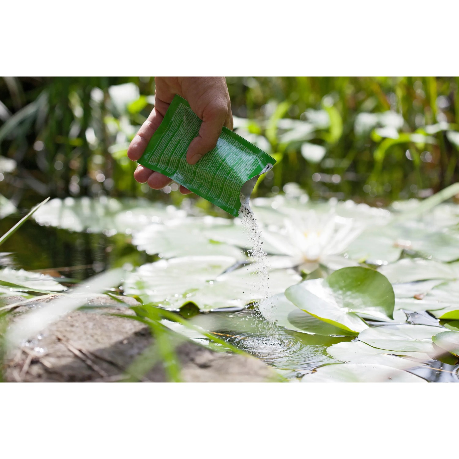 Heissner F-PLUS Leistungssteigerer wird in einen Gartenteich mit Seerosen gegeben.