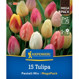 Kiepenkerl Triumph-Tulpen Pastell-Mix, 15 Blumenzwiebeln mit zarten Farben.