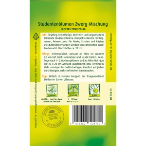 Samentüte Quedlinburger Studentenblumen Zwerg-Mischung für Beet, Balkon und Kübel.