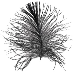 Wandbild Feder in Weiß, 40x50 cm. Dekorative Feder für die Wand.