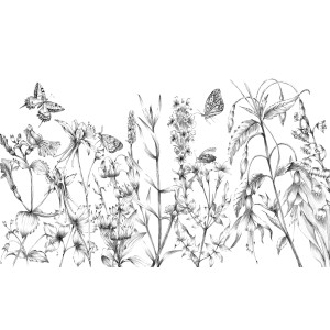 Komar Vliestapete Butterfly Field: Schwarz-weiße Fototapete mit filigranen Schmetterlingen und Blumen.