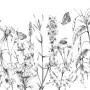 Komar Vliestapete Butterfly Field: Schwarz-weiße Fototapete mit filigranen Schmetterlingen und Blumen.