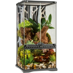 Exo Terra Paludarium 30x30x60 cm: Aqua-Terrarium mit Wasserteil, Pflanzen und Fischen.